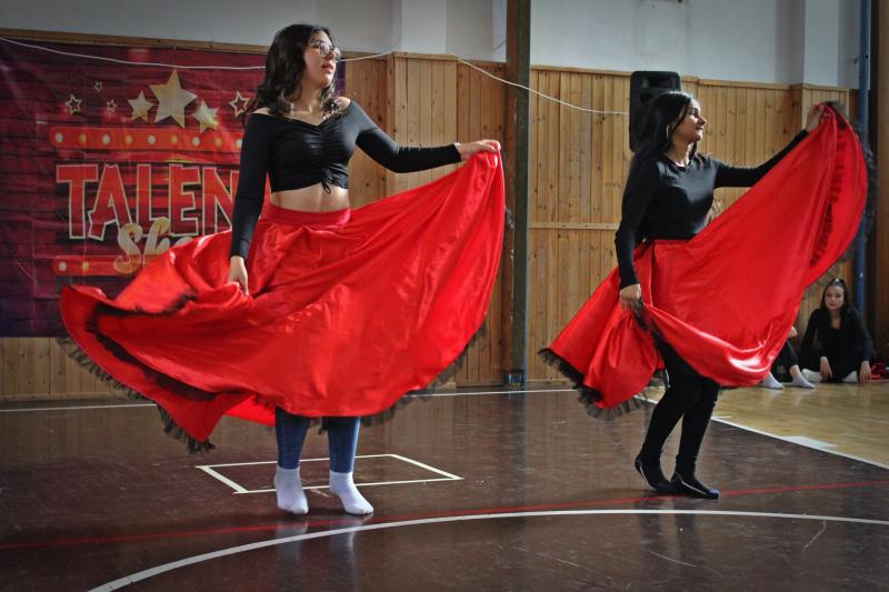 Základní škola Bukovany hledá talent 2